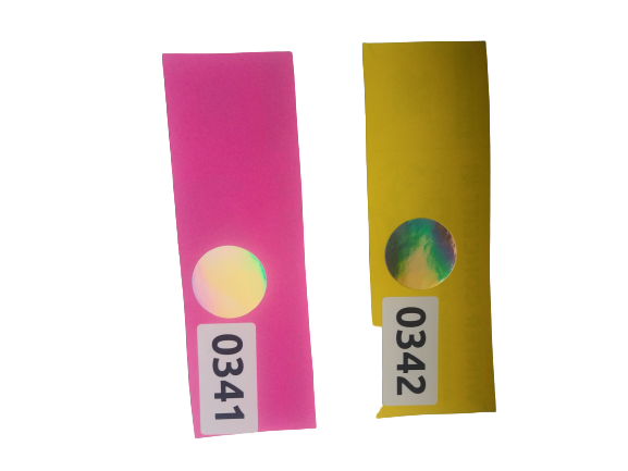 Rich results on Google's SERP when searching for 'School Concerts During A Pandemic'