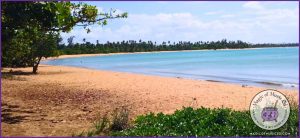 Peaceful Caribbean beach with turquoise water and golden sand, representing the tropical vibe of ocean songs and Caribbean music for elementary music lessons.